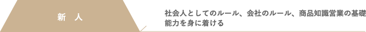 新人 - 社会人としてのルール、会社のルール、商品知識営業の基礎能力を身に着ける