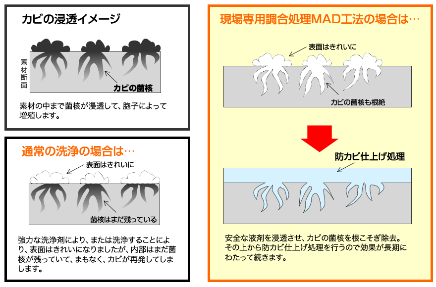 ※カビ取り屋.comホームページより