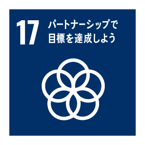 17　パートナーシップで目標を達成しよう