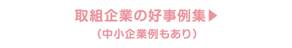 女性活躍推進法取り組み企業の好事例集