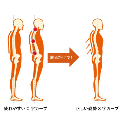 疲れやすいC字カーブから着るだけで正しい姿勢のS字カーブに